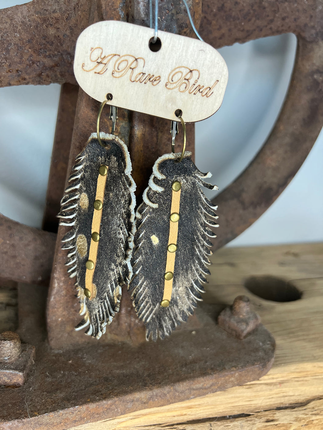 Chocolate Gold Feathers